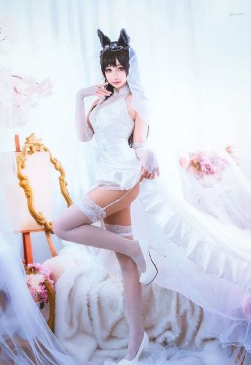 欧美人与动人物xxxx_BD英语日韩免费观看