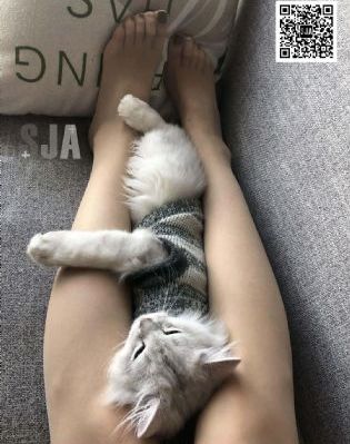 青草视频在线观看国产_高清全集在线观看